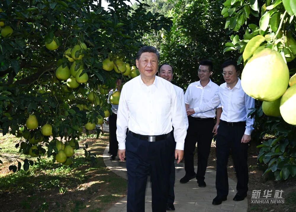 首页| 耀彩网官方网站入口